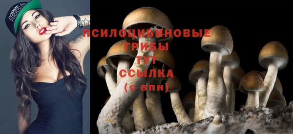 дурь Кулебаки