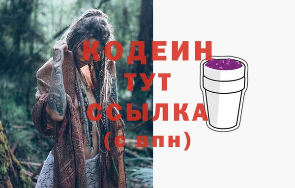 индика Кукмор